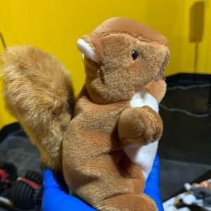 Nuts the squirrel Ty beanie baby.